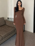 Long Sleeves Sleek Brown Maxi Dress