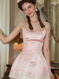 Short Mini Lace Pink Strapless Homecoming Dress