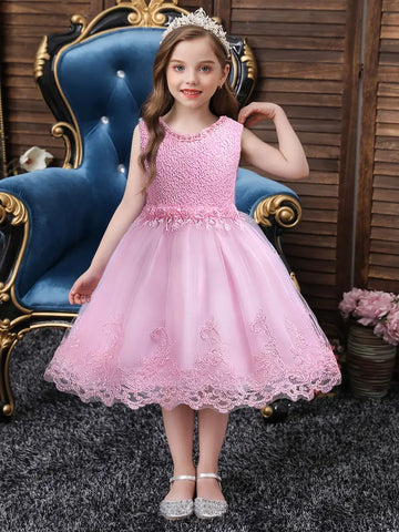 Flower Embroidery Lace Mesh Tutu Girl Princess Dress