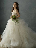 Tulle Strapless A Line Appliques Sheer Wedding Dress