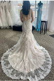Dusty Pink Lace Trumpet Mermaid V Neck Beading Wedding Dress