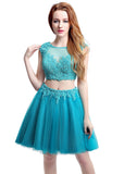 Wonderful Tulle Bateau Neckline Short-length Two-piece A-Line Homecoming Dresses With Hot Fix Rhinestone