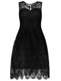 Black Full Lace Round Neck Sleeveless Flare Dress