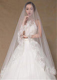 Beautiful Tulle Wedding Veil With Lace