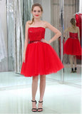 Amazing Sequin Lace & Tulle Strapless Neckline Short Length A-line Cocktail Dresses