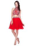 Chic Tulle High Collar Neckline A-Line Two-piece Homecoming Dresses With Beadings