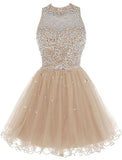 Short Prom Dresses A Line High Neck Tulle Homecoming Dresses
