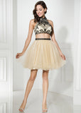 Fabulous Tulle Halter Neckline A-Line Two-piece Short Homecoming Dresses With Beadings