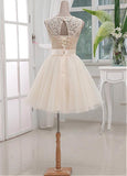 Chic Lace & Satin & Tulle Bateau Neckline Short A-line Homecoming Dress