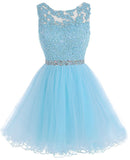 Burgundy Short Tulle Beading Homecoming Dress Prom Gown