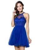 Blue Short Tulle Beading Homecoming Dress