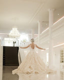 Tulle Appliques V Neck Lace Appliques Champagne Wedding Dress