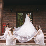 V-Neck Appliques Sleeveless Tulle A Line Lace Wedding Dress