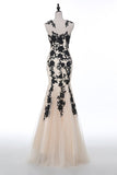 Champagne Sleeveless Mermaid Appliques Evening dresss