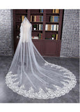 Charming Tulle Cathedral Wedding Veil With Lace Appliques