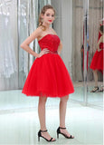 Amazing Sequin Lace & Tulle Strapless Neckline Short Length A-line Cocktail Dresses