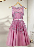 Elegant Tulle Bateau Neckline A-line Homecoming Dresses With Lace Appliques