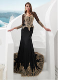 Spandex V-neck Mermaid Evening Dress With Detachable Shawl