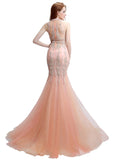 Illusion Mermaid Evening Dress
