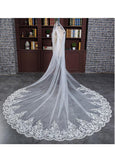 Charming Tulle Cathedral Wedding Veil With Lace Appliques