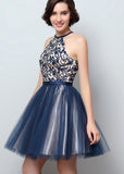 Fantastic Tulle Halter Neckline A-Line Short Homecoming Dresses With Lace Appliques