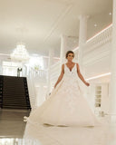 Tulle Appliques V Neck Lace Appliques Champagne Wedding Dress