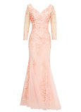 Marvelous Tulle V-neck Neckline Sheath Evening Dresses With Embroidery