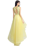 Lovely Tulle & Lace V-neck Neckline Cut-out Back Hi-lo A-line Homecoming Dresses