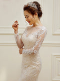 Lace Appliques Long Sleeves Long Train Mermaid Wedding Dress