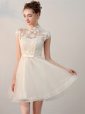 Elegant  High Neck Appliques Mini Homecoming Dress