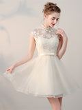 Elegant  High Neck Appliques Mini Homecoming Dress