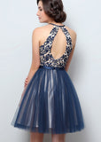 Fantastic Tulle Halter Neckline A-Line Short Homecoming Dresses With Lace Appliques