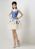 Unique Tulle Bateau Neckline Short A-line Homecoming Dresses With Lace Appliques