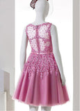 Elegant Tulle Bateau Neckline A-line Homecoming Dresses With Lace Appliques