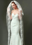 Amazing Tulle Wedding Veil With Lace Appliques