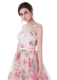 Prom Dresses With Lace Appliques & Beadings