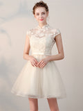 Elegant  High Neck Appliques Mini Homecoming Dress