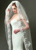 Amazing Tulle Wedding Veil With Lace Appliques