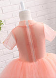 Stunning Tulle High Collar Neckline Short Sleeves Ball Gown Flower Girl Dresses With Lace Appliques & Handmade Flowers