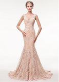 Lace V-neck Rhinestones Champagne Mermaid Evening Dress With Belt
