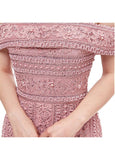 Lace Spaghetti Straps Pink Long Mermaid Evening Dress