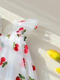 Toddler Girls Ruffle Trim Cherry Embroidered Butterfly Mesh Princess Dress
