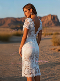 Short Sleeve Sheath Lace V Neck Wedding Dress