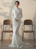 Trumpet Mermaid Lace Long Sleeves Wedding Dress