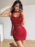 Sheer Panels Rose Red Bodycon Dress