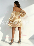 Champagne Off Shoulder Long Sleeve A Line Tulle Homecoming Dress