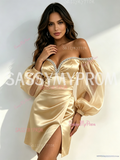 Champagne Off Shoulder Long Sleeve A Line Tulle Homecoming Dress