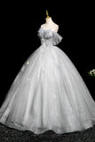 Butterfly A Line Off The Shoulder Gray Tulle Sequins Prom Dress