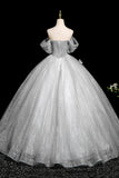 Butterfly A Line Off The Shoulder Gray Tulle Sequins Prom Dress