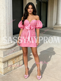 Pink Puffy Sleeves Sheath Column Lace Homecoming Dress